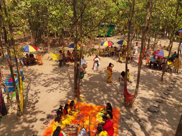 Dol Utsav celebration in the forest clearing