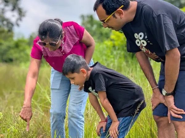 Family exploring the grass and wildflowers