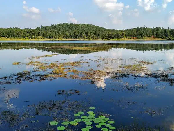 Khandarani Lake reflecting the sky with forested hills behind