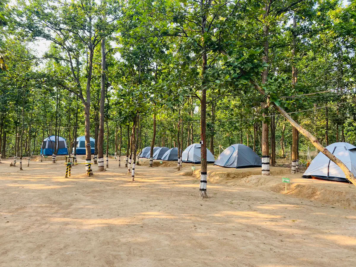 Tents pitched in the open forest at Sobuj Thikana