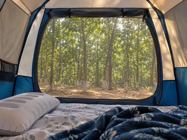 View from inside a camping tent looking out at the forest