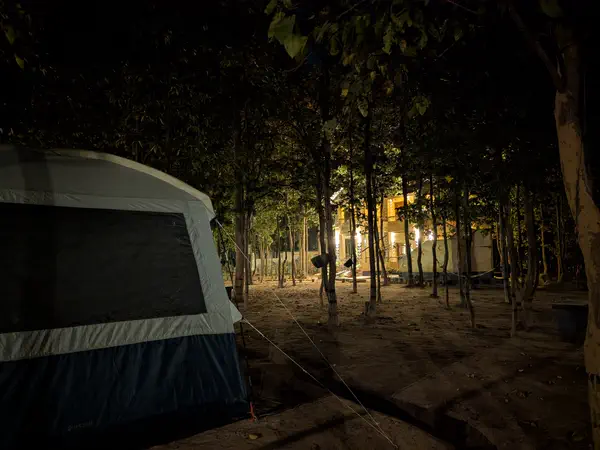 Tent at night under the forest canopy